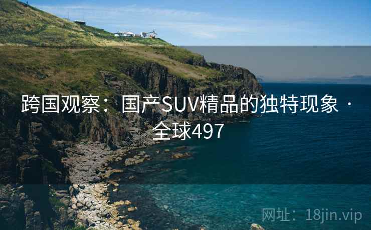跨国观察：国产SUV精品的独特现象 · 全球497